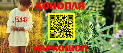 Альфа ПВП Рузаевка