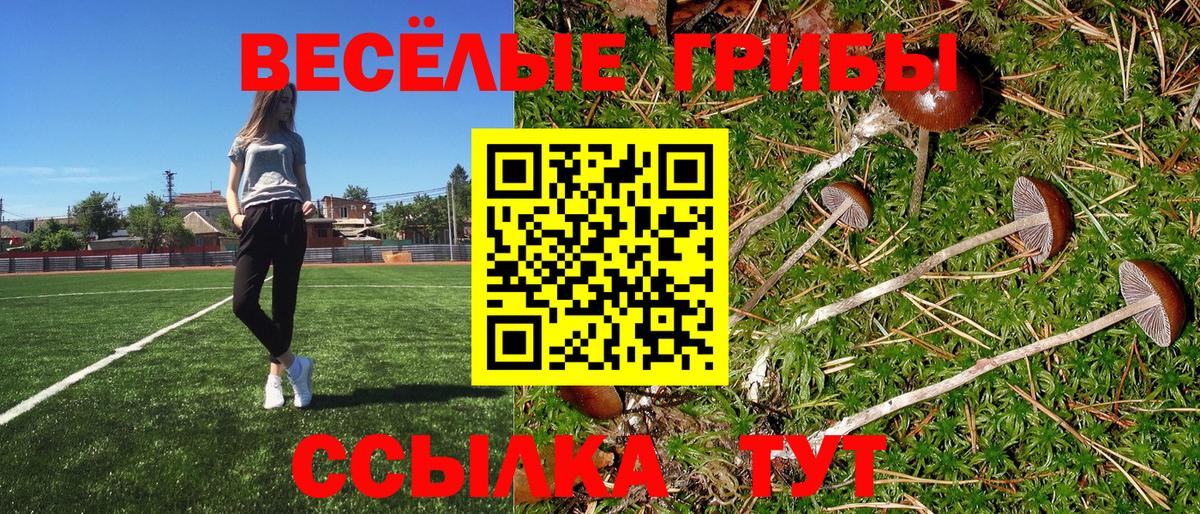 Псилоцибиновые грибы GOLDEN TEACHER  Вход с VPN  Электросталь 