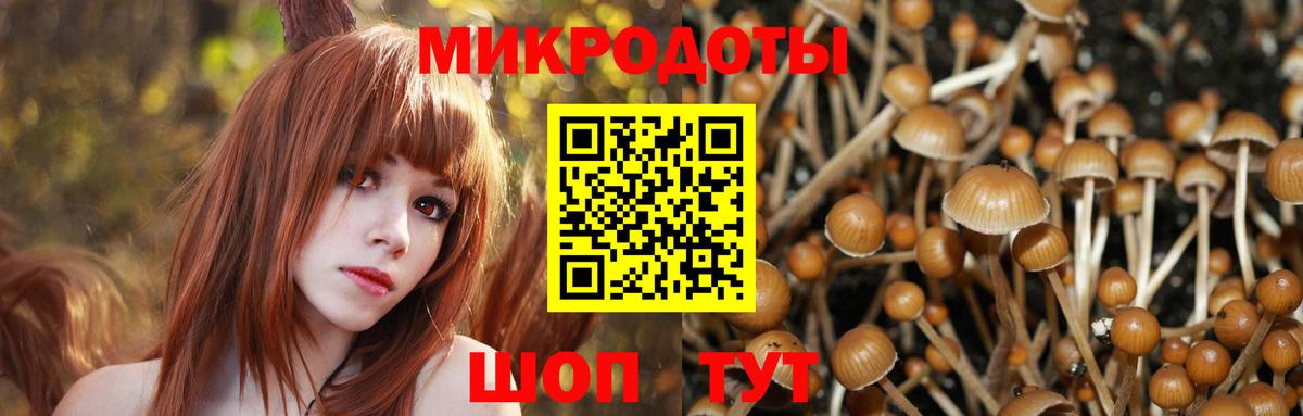 Псилоцибиновые грибы Psilocybine cubensis Электросталь